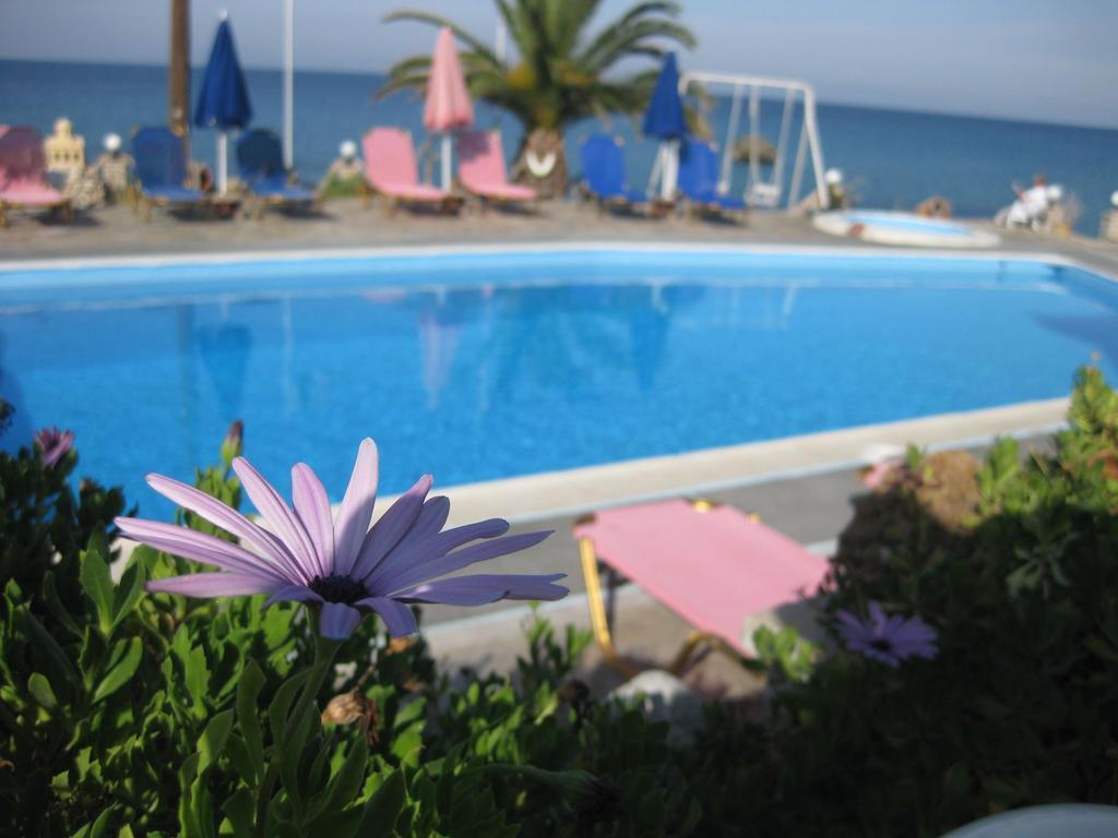 Violetta Seaside Studios&Apartments Neo Karlowasi Zewnętrze zdjęcie